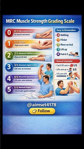 muscle strength grading scale