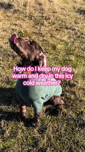 Stay Warm with the Rydale Fleece Dog Jumper