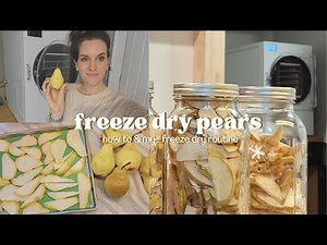 How To Freeze Dried Pears & My Freeze Drying Routine (S1 E3)