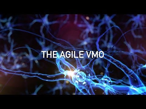 Exploring the Agile VMO®