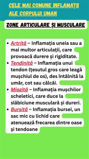 Zone articulare și musculare: 🦴 Inflamațiile Aparatului Locomotor
