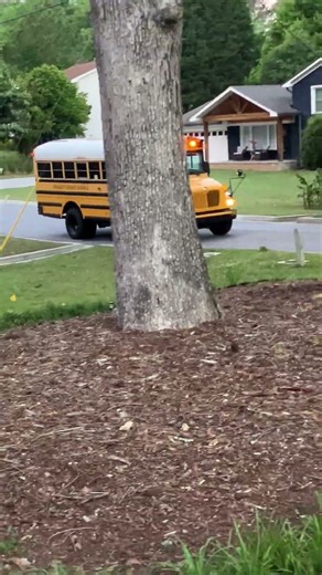 This is bus 2454 a 2004 IC CE200 Non-￼handicap with the T444E engine