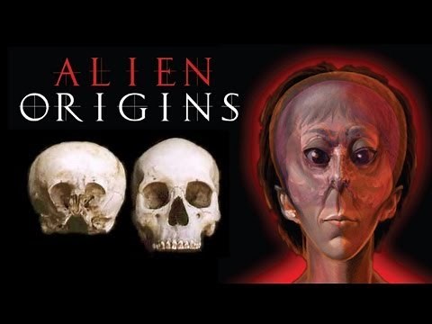 Alien Origins by Lloyd Pye