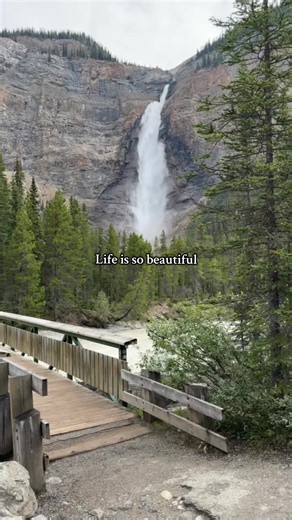 ircia_newlife_canada on TikTok