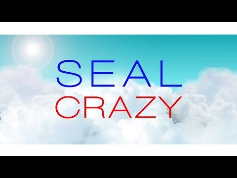 Seal "Crazy" Lyric Video