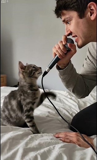 Top cat rap moments 😂 #cats #pets #aitrend #funny