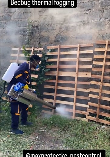 Teamwork makes the dream work #bedbugs #bedbugstreatment #pestcontrol #fyp