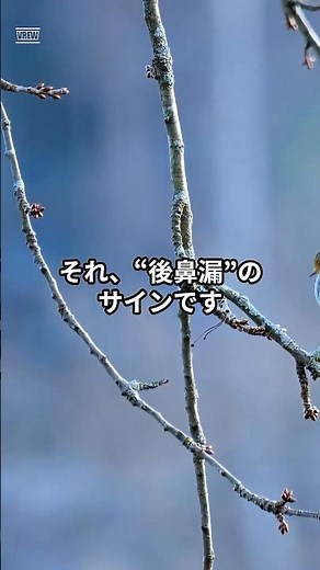 止まらない鼻水がスッと止まる！誰も知らない“後鼻漏”対策フード3選 #健康