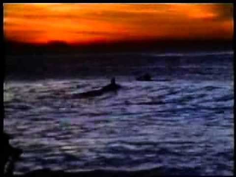 Go for it ! Larry Bertlemann + others = Rare Surf Movie - 1976