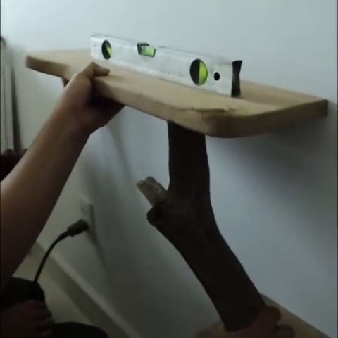 Tree Bookshelf Driftwood Branch Live Edge Floating Shelves on Wall Decor - Etsy