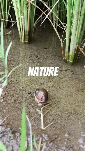 nature heals| #countrysideadventures #provincelife