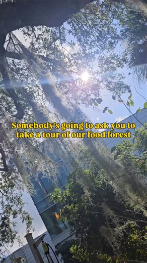 Discover the green side of science at MODS! 🌿 Our thriving Food Forest is a living classroom where tropical fruits, herbs and medicinal plants grow together in harmony. Join us for a guided 30-minute tour to explore sustainable gardening, permaculture and ethnobotany and stay for a 15-minute Q&A to satisfy your curiosity. Clippings may be shared during the tour. 📅 February 7 – 8 • March 7 – 8 • April 4 – 5 🕚 Saturdays: 11 a.m. and 1 p.m. | Sundays: 1 p.m. and 3 p.m. 🎟️ Included with Museum a