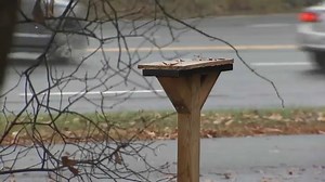 Community Library Box in Arlington Destroyed in Explosion