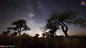 1.3K views · 72 reactions | Dead'writer on Reels | Facebook