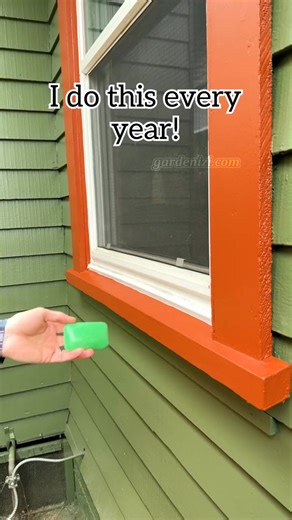 Tired of bugs and rodents sneaking into your home? 🐭🪳 👉 Just rub strong-scented soap like Irish Spring on your window sills — pests hate it! 🧼✨ Share & Follow for more smart pest-control hacks. #pestcontrol #soap #bugs #DIYhacks #homegarden #gardenizi | Garden Tips & Tricks