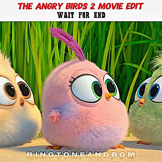 ''The Hatchlings Are Too Powerful"] 🐣💪 The Angry Birds 2 Movie Edit #movie #edit