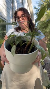 Isn’t she so pretty 😍 | Luna Lewis