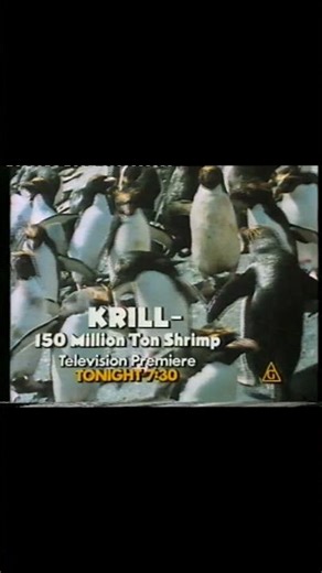 John Laws Presents: Krill Documentary (1982) 🦐 #shorts #vintage #Shorts