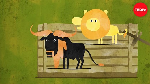 Can you solve the river crossing riddle?