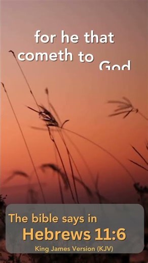 Hebrews 11:6 - S1Day211 - Daily Bible Scripture