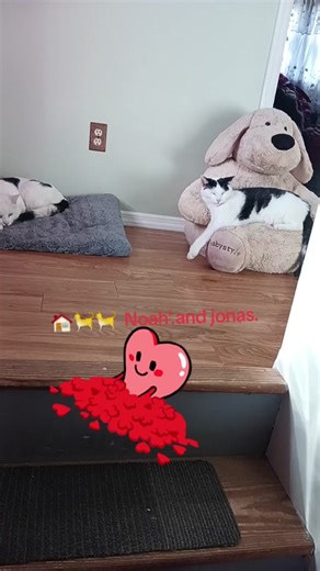 Sarita (@wwwmechito)’s videos with Bruce Springsteen. Cover Me. - ꪖꪀꪗ𝕥ꪊꪀꫀડ𝟚𝟠