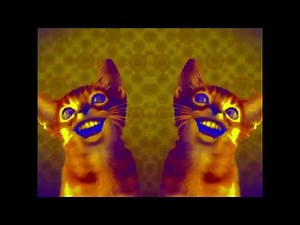 Preview 2 Numa Cat Midi Effects