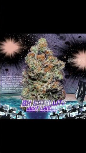 @alienlabstv BK Satellite Clones Live NOW