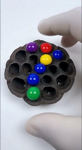 Turning Trypophobia Into Pure Visual Therapy 😳➡️😌”