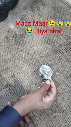 baaZ Maar Diya 😰#pigeon #music https://rummy5151.com/index🕊🕊l.html?code=RTV#kabootar🕊😢 #realmoney 😭🥺