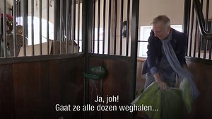 164K views · 1.2K reactions | Er heeft zich en groot DRAMA voltrokken op heet landgoed van de Meilandjes... 來 | SBS 6 | Facebook