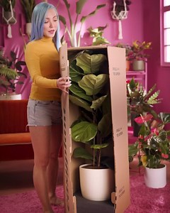 easyplant on Instagram: "Stop Killing Plants With Easy Plants you get a plant that is hard to kill * Self-Watering plants. 🪴 Much longer plant life – no overwatering, no underwatering, the plan gets what it needs 💧 Water only once a month - Easily know if water is needed 💐The world’s most beautiful plants and pots"
