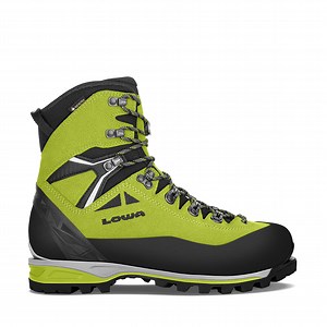 Alpine Expert GTX® - Alpine