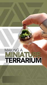 Always one of my favorite miniature terrariums 🌱 #terrarium #plants #moss | Johnathon Q Swanson