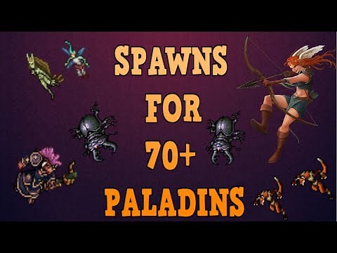 Tibia [Where to hunt RP] - SPAWNS FOR 70+ PALADINS