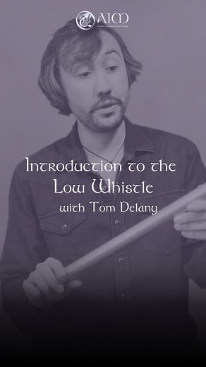 7.9K views · 73 reactions | " Introduction to the Low Whistle with...