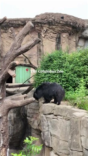The Columbus Zoo and Aquarium is one of the top attractions in Central Ohio