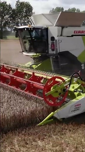 🔥 Claas Lexion 8900 Close-Up 🔥 Ultimate Harvesting Power #shorts