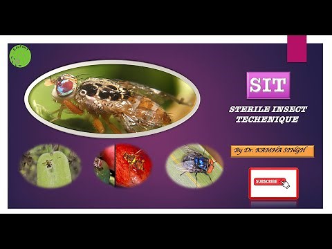 SIT || Sterile Insect Technique || Environment safe || Insect Pest Control || Irradiation ||
