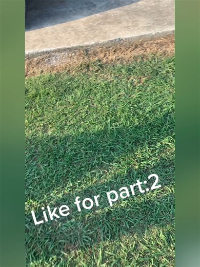 Karen Drama in the Neighborhood: A Clash with Neighbors