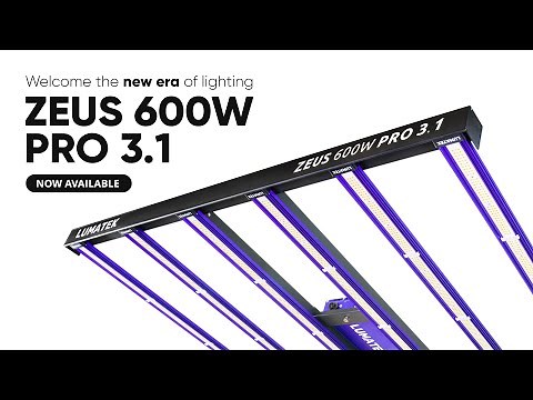 LUMATEK EU | ZEUS 600W PRO 3.1 LED