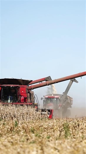 The Axial Flow Combine Series was designed next to our customers, knowing exactly what they need in a harvesting machine. This machine is the one that farmers have trusted for decades. For more information or a quote, contact the closest distributor clicking here: https://ow.ly/y52G50SjJrZ | CASE IH