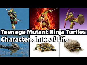 Teenage Mutant Ninja Turtles Characters in Real Life