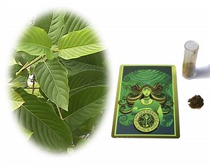 Kratom Extract