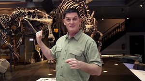 Dinosaur Train - Dinosaur Discoveries: Predator and Prey Video | PBS KIDS