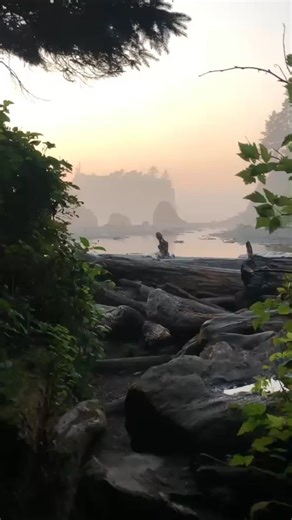 NREMG on Instagram: "We’re in Washington State, so naturally we have to bring you along with us too. The “rubies” may be an illusion, but the magic of Ruby Beach is 100% real! The Washington coast looks like it’s straight out of a movie, and the state has so much more to offer than even some longtime residents can keep up with. Drop your WA state hidden gems in the comments! #HiddenGems #ExploreWA #PacificNorthwest #TravelWashington #DiscoverThePNW"