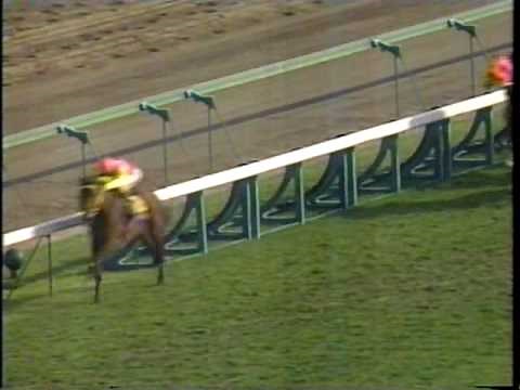 皐月賞　サニーブライアン