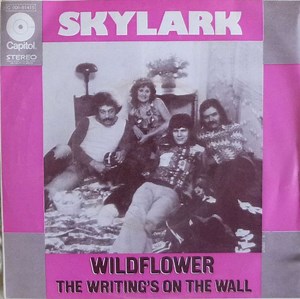 "Wildflower" by Skylark - Song Meanings and Facts