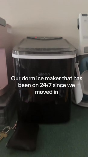 Dorm Room Ice Maker: Maggie Morley's Constant Companion