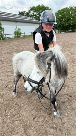 Elsker dig min dreng glæder mig til efter sommerferien for der starter jeg til spring på dig💘😘♾️￼