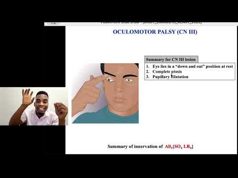 Extraocular muscles: Quick recap (Zima moto 🧯 🔥)